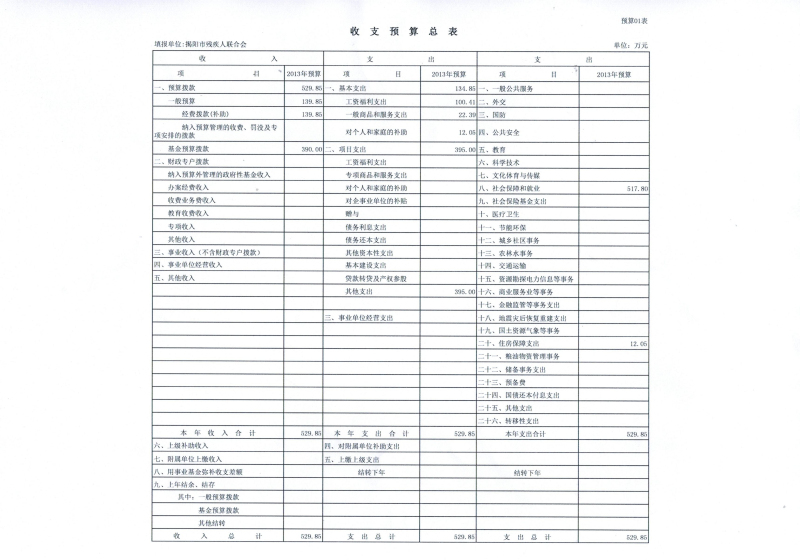 揭阳市残疾人联合会2013年预算产出表(图5)