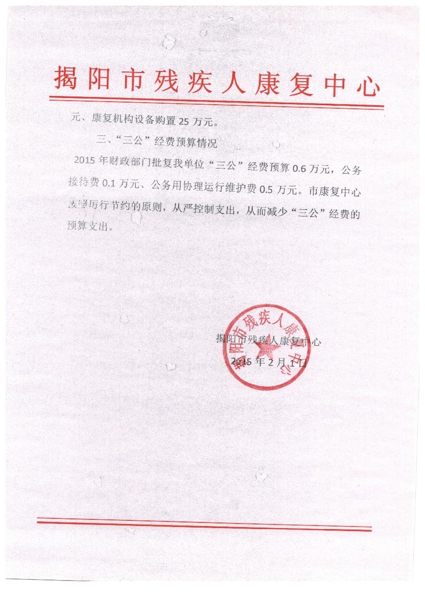 2015年市残疾人康复中心预算(图2)