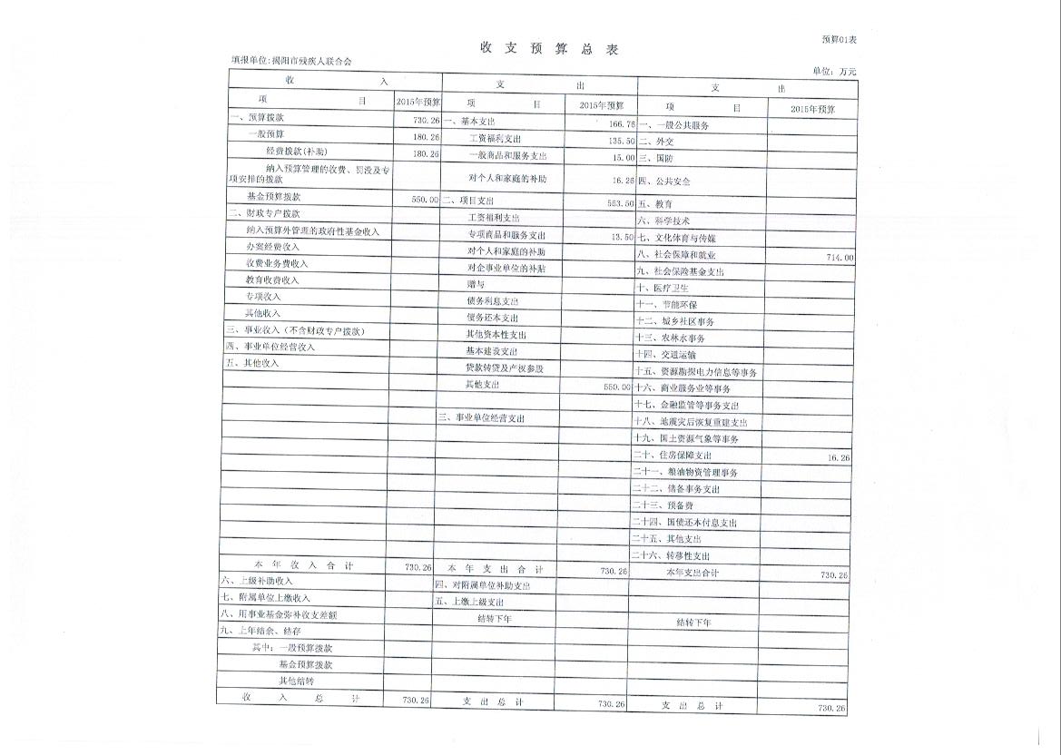 中国残联2015年资本预算(图1)