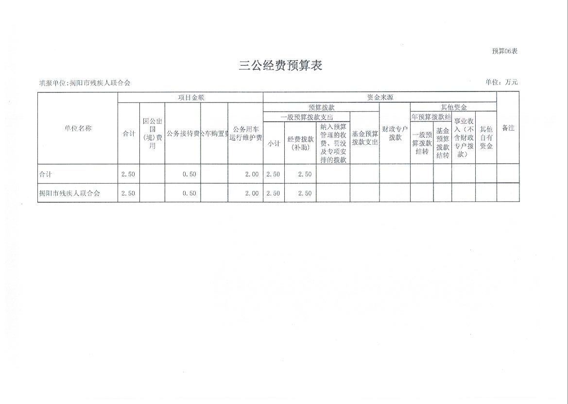 中国残联2015年资本预算(图5)