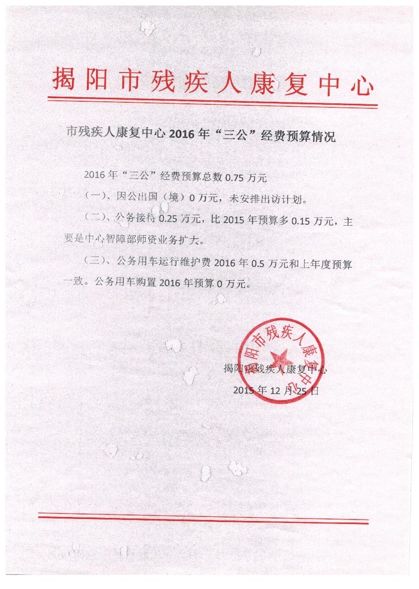 2016年市残疾人康复中心“三公”经费预算(图1)