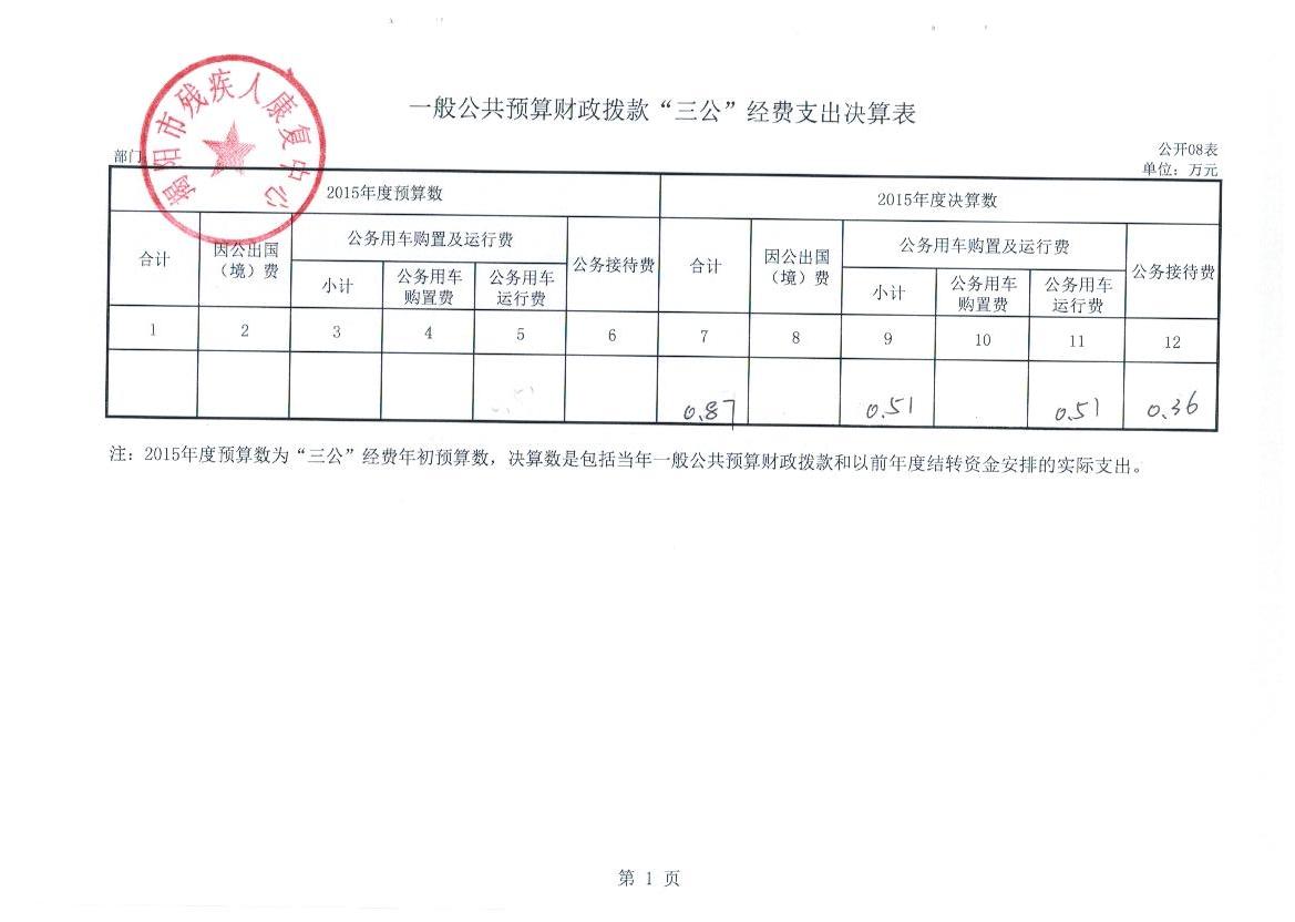 市残疾人康复中心2015年度决算公示(图8)