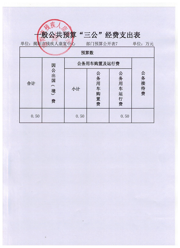 揭阳市残疾人康复中心2017年度部门预算披露(图12)