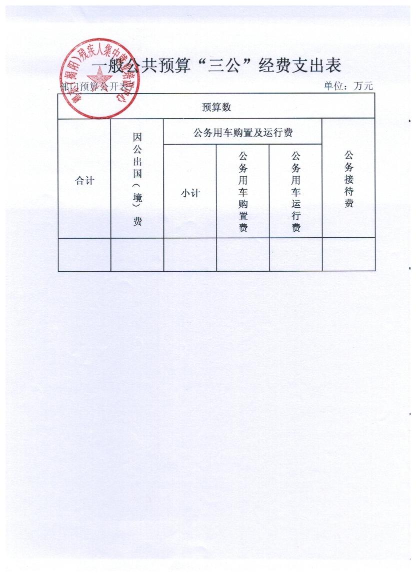 粤东（揭阳）残疾人集中就业培训中心2017年度部门预算(图7)